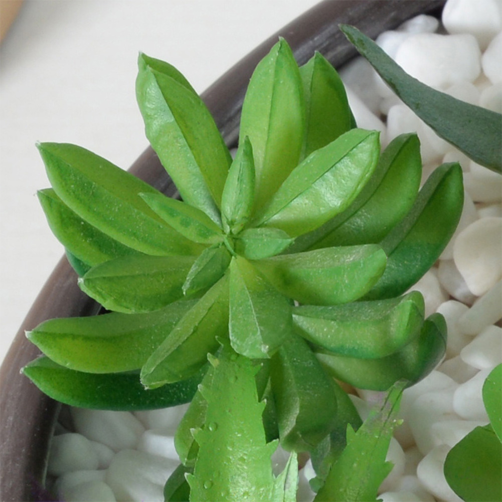 Desk Centerpiece Artificial fo - огляд і ціна Succulent Arrangement Mini
