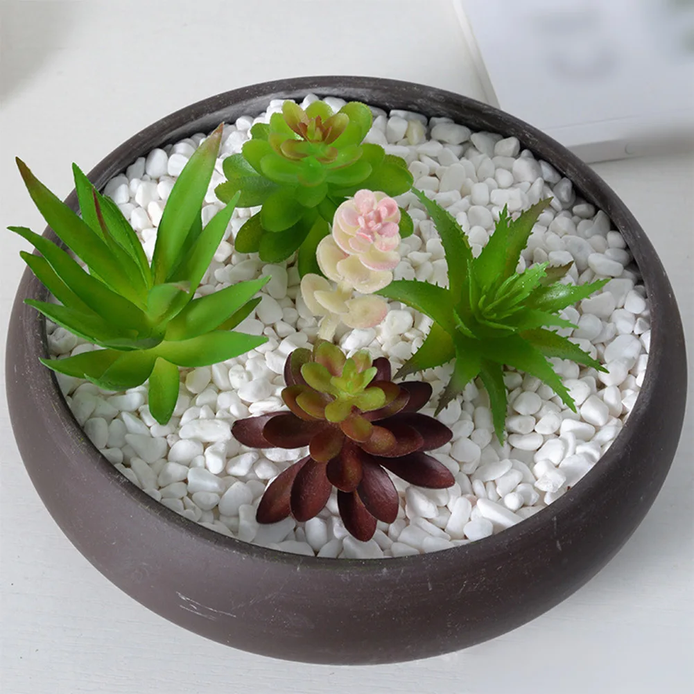 Low Upkeep For Mini Bonsai Suc - огляд і ціна Succulent Arrangement Mini