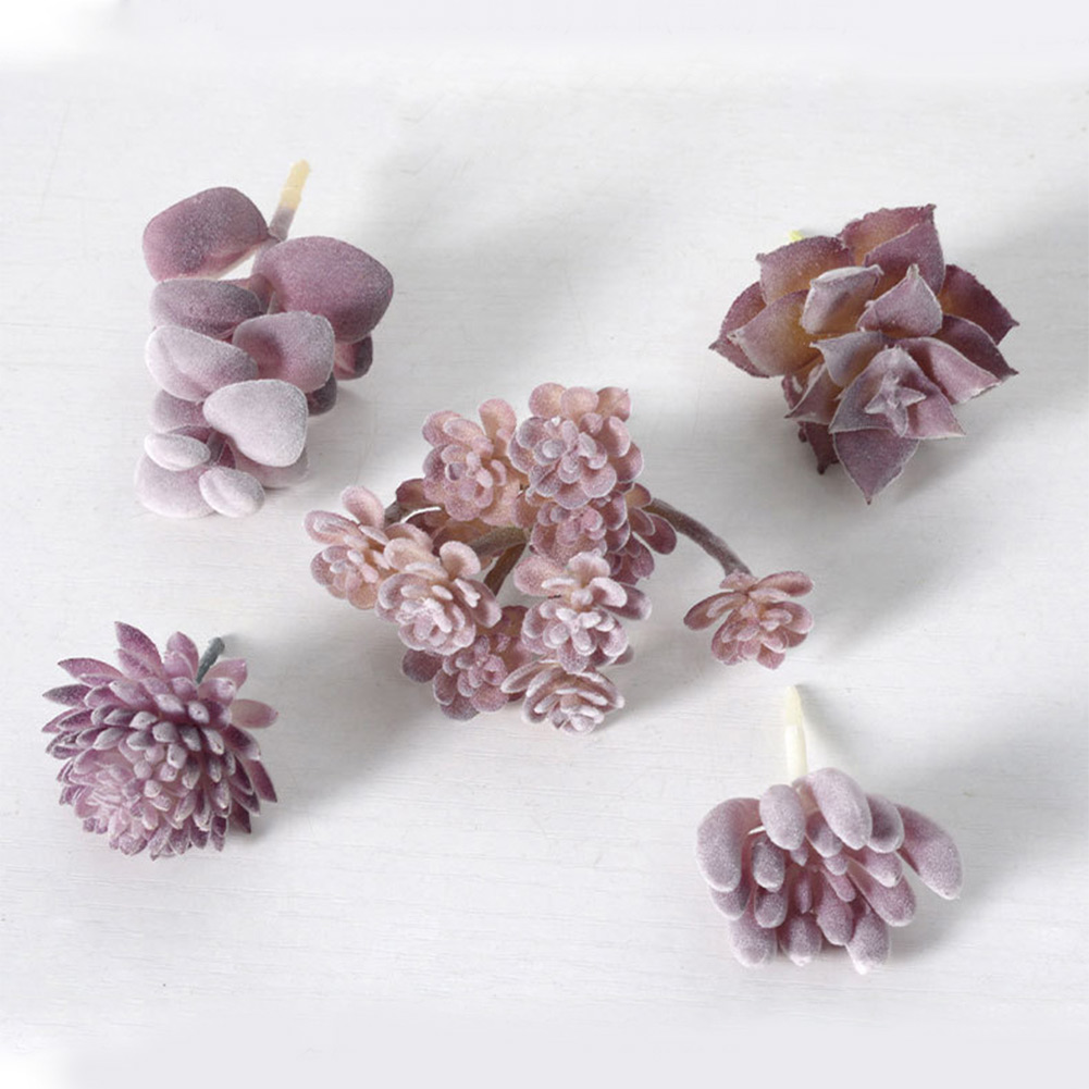Charming For Mini Bonsai Succu - огляд і ціна Succulent Arrangement Mini