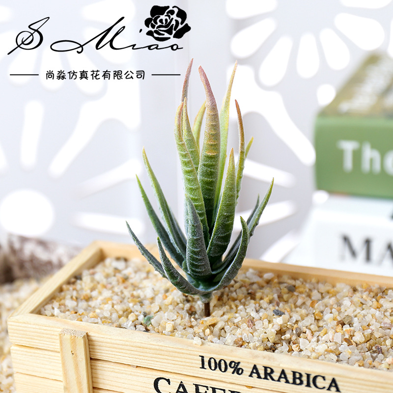 Wusmart Ban Ma Lu Hui Artifici - огляд і ціна Succulent Arrangement Mini