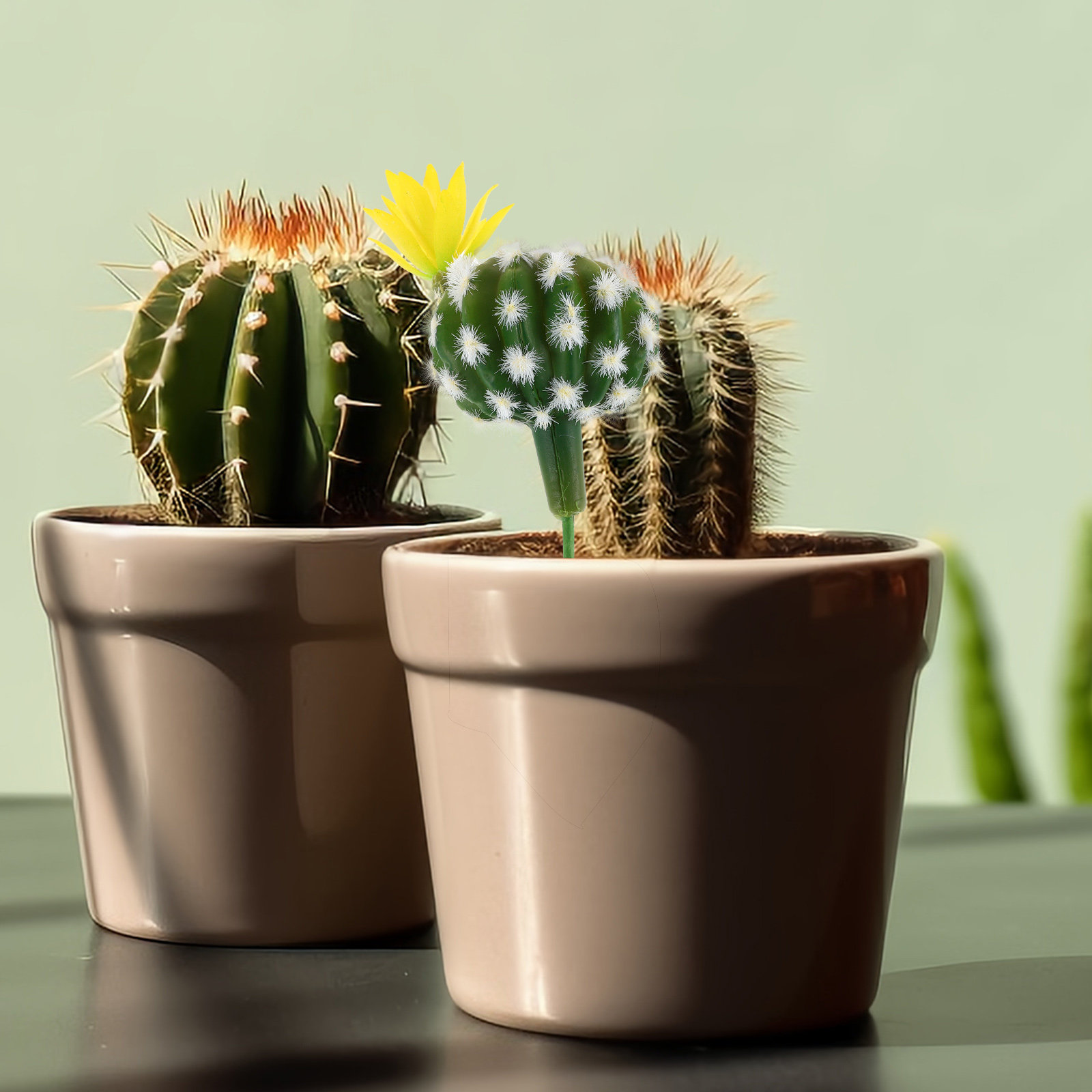 Mini Artificial Cactus Succule - огляд і ціна Succulent Arrangement Mini